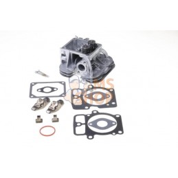 Culasse | BRIGGS & STRATTON Culasse | BRIGGS & STRATTONPR#406302