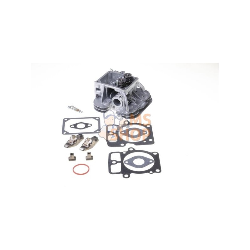Culasse | BRIGGS & STRATTON Culasse | BRIGGS & STRATTONPR#406302