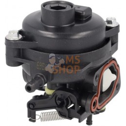 Carburateur | BRIGGS & STRATTON Carburateur | BRIGGS & STRATTONPR#406356
