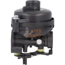 Carburateur | BRIGGS & STRATTON Carburateur | BRIGGS & STRATTONPR#406356