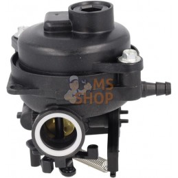Carburateur | BRIGGS & STRATTON Carburateur | BRIGGS & STRATTONPR#406356