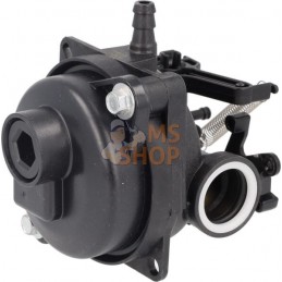Carburateur | BRIGGS & STRATTON Carburateur | BRIGGS & STRATTONPR#406356