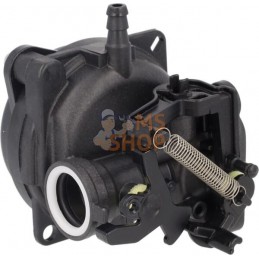 Carburateur | BRIGGS & STRATTON Carburateur | BRIGGS & STRATTONPR#406356