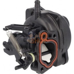 Carburateur | BRIGGS & STRATTON Carburateur | BRIGGS & STRATTONPR#406356