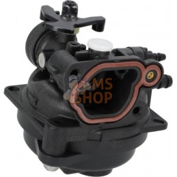 Carburateur | BRIGGS & STRATTON Carburateur | BRIGGS & STRATTONPR#406329