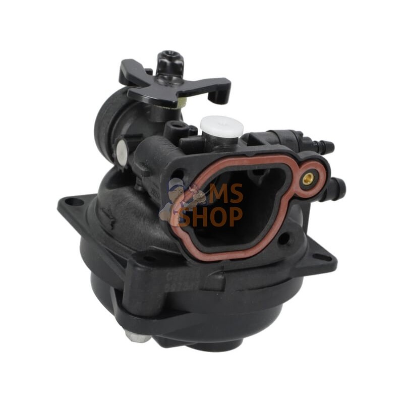 Carburateur | BRIGGS & STRATTON Carburateur | BRIGGS & STRATTONPR#406329