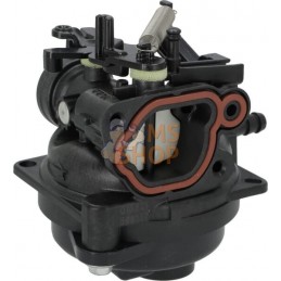 Carburateur | BRIGGS & STRATTON Carburateur | BRIGGS & STRATTONPR#406298