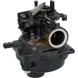 Carburateur | BRIGGS & STRATTON Carburateur | BRIGGS & STRATTONPR#406298