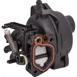Carburateur | BRIGGS & STRATTON Carburateur | BRIGGS & STRATTONPR#406299