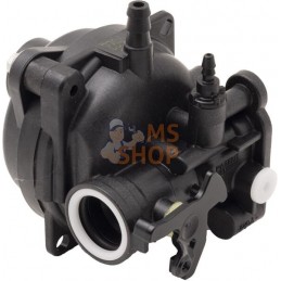 Carburateur | BRIGGS & STRATTON Carburateur | BRIGGS & STRATTONPR#406300