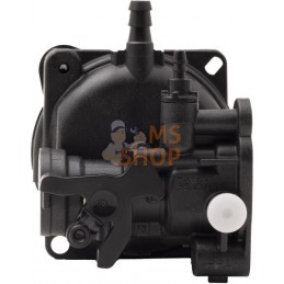 Carburateur | BRIGGS & STRATTON Carburateur | BRIGGS & STRATTONPR#406300