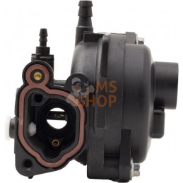 Carburateur | BRIGGS & STRATTON Carburateur | BRIGGS & STRATTONPR#406300