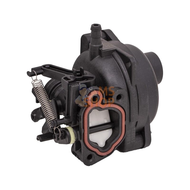 Carburateur | BRIGGS & STRATTON Carburateur | BRIGGS & STRATTONPR#406291