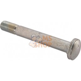 Bolt | CNH Bolt | CNHPR#1077821