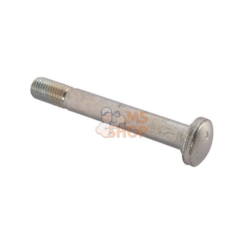 Bolt | CNH Bolt | CNHPR#1077821