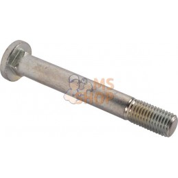 Bolt | CNH Bolt | CNHPR#1077821