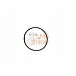 Joint | CNH Joint | CNHPR#1077621