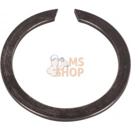 Snap ring | AGCO Snap ring | AGCOPR#1074263