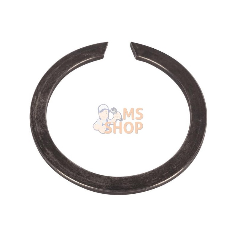 Snap ring | AGCO Snap ring | AGCOPR#1074263