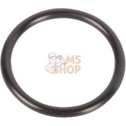 Gasket | CNH Gasket | CNHPR#1077905