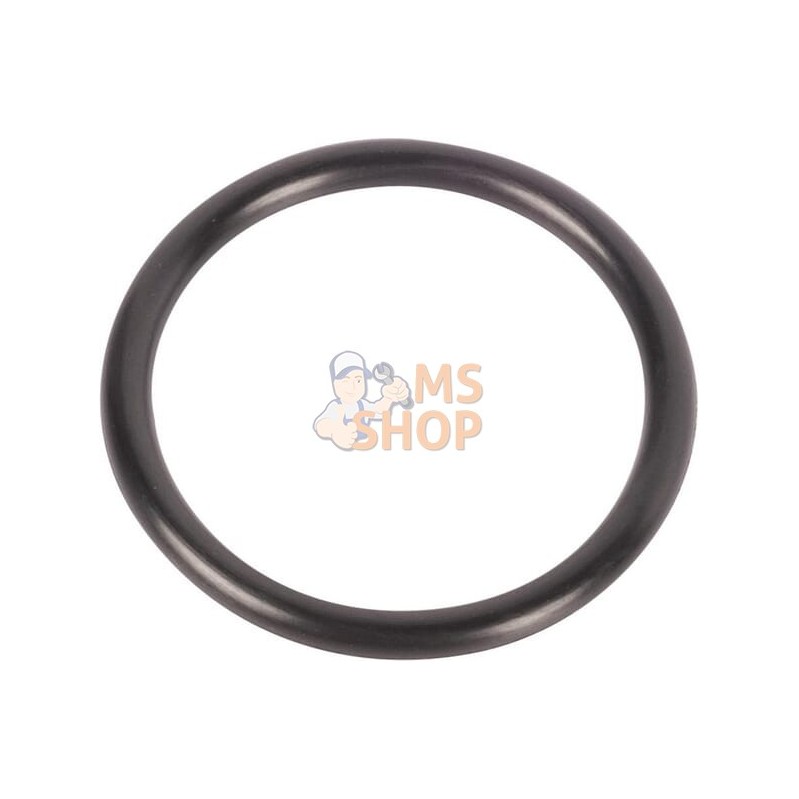 Gasket | CNH Gasket | CNHPR#1077905