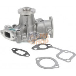 Pompe à eau | BRIGGS & STRATTON Pompe à eau | BRIGGS & STRATTONPR#402038