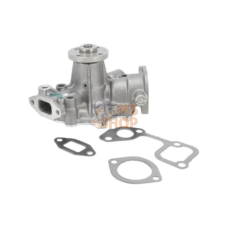 Pompe à eau | BRIGGS & STRATTON Pompe à eau | BRIGGS & STRATTONPR#402038