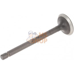 Soupape d'échappement | BRIGGS & STRATTON Soupape d'échappement | BRIGGS & STRATTONPR#408394