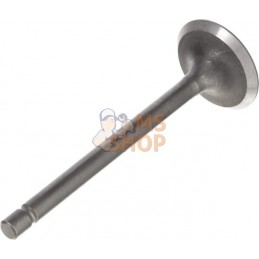 Soupape d'admission | BRIGGS & STRATTON Soupape d'admission | BRIGGS & STRATTONPR#408377