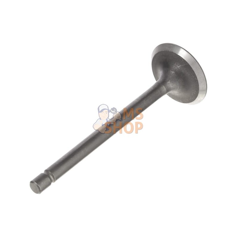 Soupape d'admission | BRIGGS & STRATTON Soupape d'admission | BRIGGS & STRATTONPR#408377