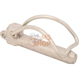 Broche | CNH Broche | CNHPR#893922