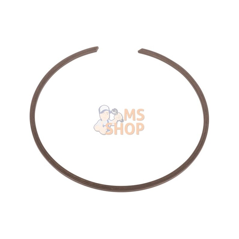 Ring | CNH Ring | CNHPR#1077496