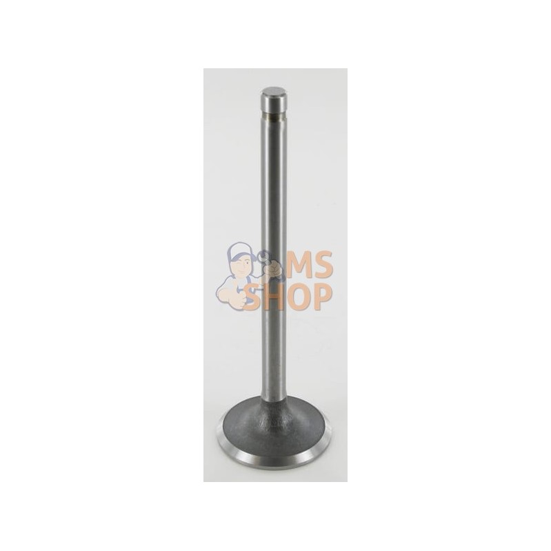 Soupape d'admission std. p/ NH | UNBRANDED Soupape d'admission std. p/ NH | UNBRANDEDPR#633439