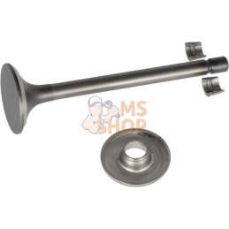 Soupape d'échappement | BRIGGS & STRATTON Soupape d'échappement | BRIGGS & STRATTONPR#408187