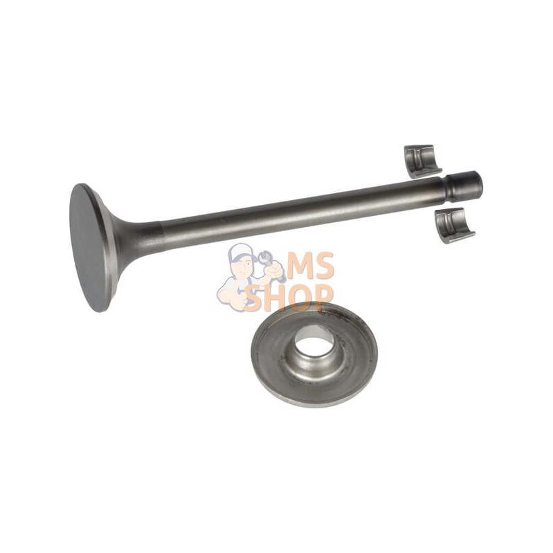 Soupape d'échappement | BRIGGS & STRATTON Soupape d'échappement | BRIGGS & STRATTONPR#408187