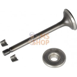 Soupape d'échappement | BRIGGS & STRATTON Soupape d'échappement | BRIGGS & STRATTONPR#408187