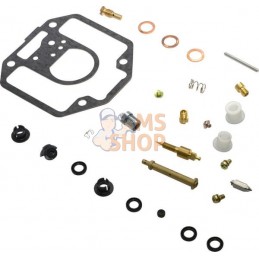 Kit de réparation carburateur | BRIGGS & STRATTON Kit de réparation carburateur | BRIGGS & STRATTONPR#26448
