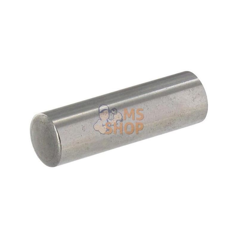 Piston pin | ANNOVI REVERBERI Piston pin | ANNOVI REVERBERIPR#895227 Piston pin | ANNOVI REVERBERI Piston pin | ANNOVI REVERBERIPR#895227