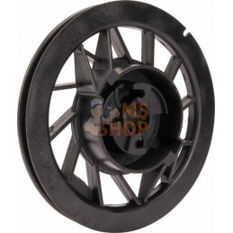 Ensemble poulie/ressort | BRIGGS & STRATTON Ensemble poulie/ressort | BRIGGS & STRATTONPR#408147