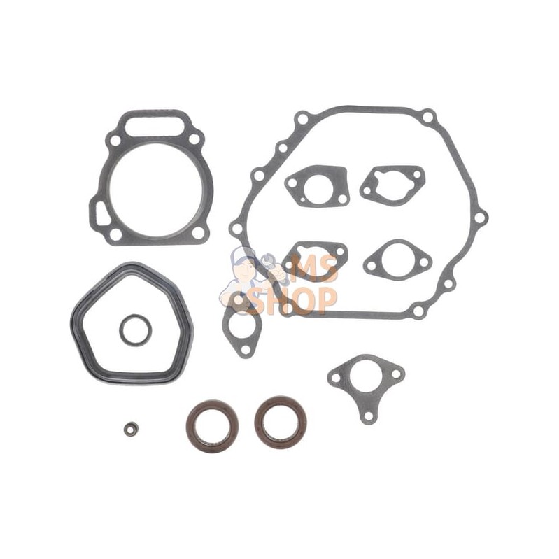Kit d'étanchéité moteur | BRIGGS & STRATTON Kit d'étanchéité moteur | BRIGGS & STRATTONPR#408160