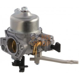 Carburateur | BRIGGS & STRATTON Carburateur | BRIGGS & STRATTONPR#408154