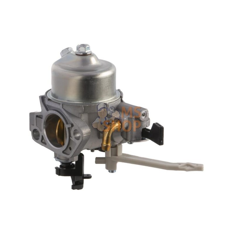 Carburateur | BRIGGS & STRATTON Carburateur | BRIGGS & STRATTONPR#408154