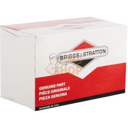 Carburateur | BRIGGS & STRATTON Carburateur | BRIGGS & STRATTONPR#408154