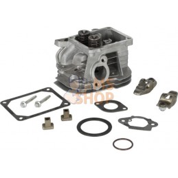 Culasse de vérin | BRIGGS & STRATTON Culasse de vérin | BRIGGS & STRATTONPR#408207