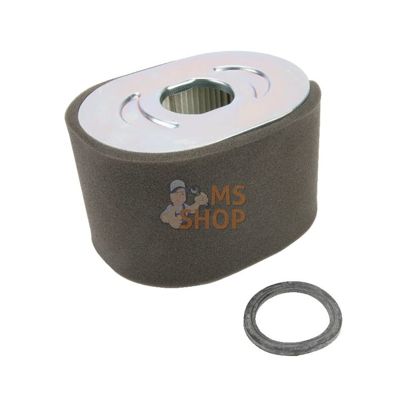 Filtre à air | BRIGGS & STRATTON Filtre à air | BRIGGS & STRATTONPR#404857 Filtre à air | BRIGGS & STRATTON Filtre à air | BRIGGS & STRATTONPR#404857