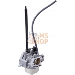 Carburateur | BRIGGS & STRATTON Carburateur | BRIGGS & STRATTONPR#408687