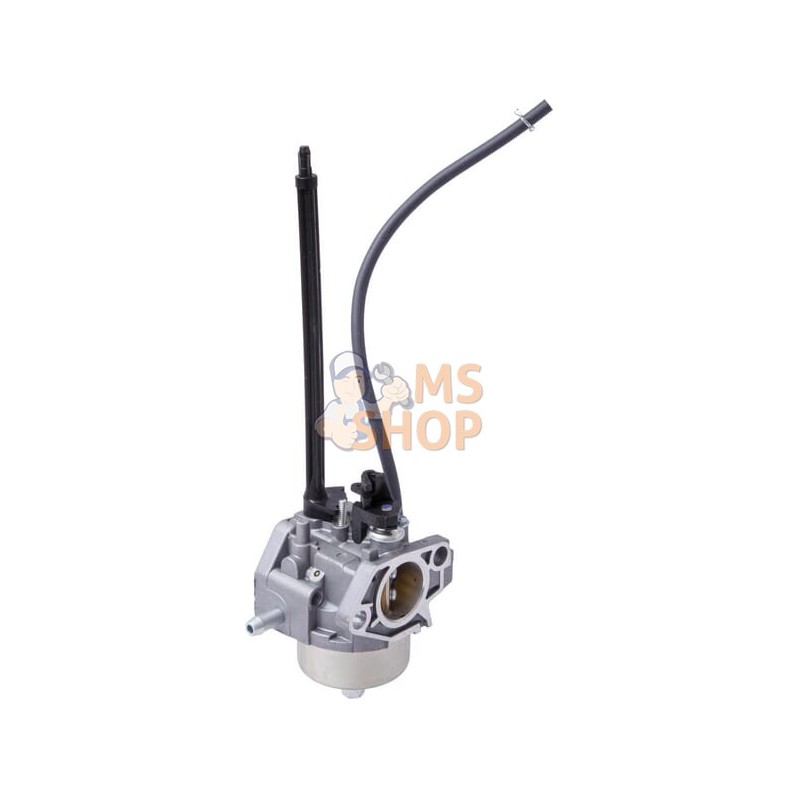 Carburateur | BRIGGS & STRATTON Carburateur | BRIGGS & STRATTONPR#408687 Carburateur | BRIGGS & STRATTON Carburateur | BRIGGS & STRATTONPR#408687