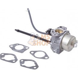 Carburateur | BRIGGS & STRATTON Carburateur | BRIGGS & STRATTONPR#408687