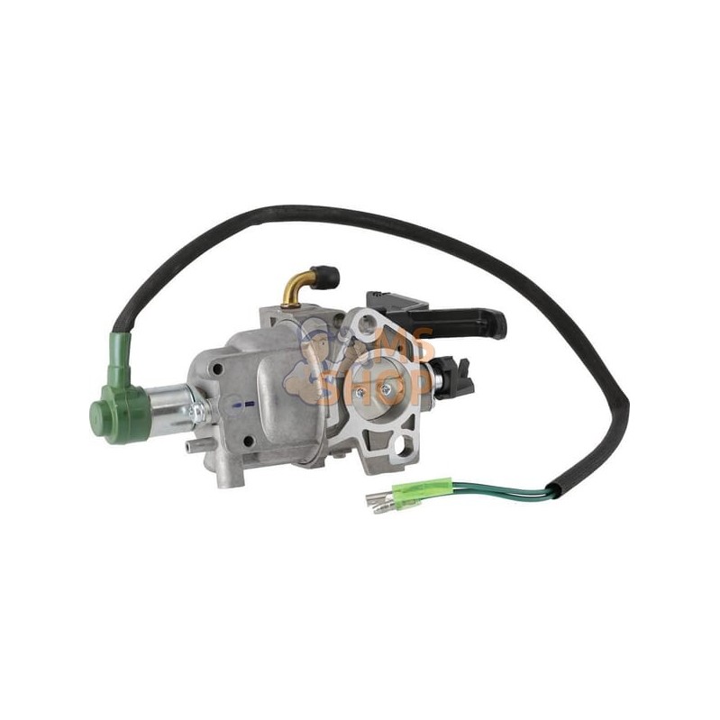 Carburateur | BRIGGS & STRATTON Carburateur | BRIGGS & STRATTONPR#408156