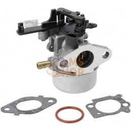 Carburateur | BRIGGS & STRATTON Carburateur | BRIGGS & STRATTONPR#408126